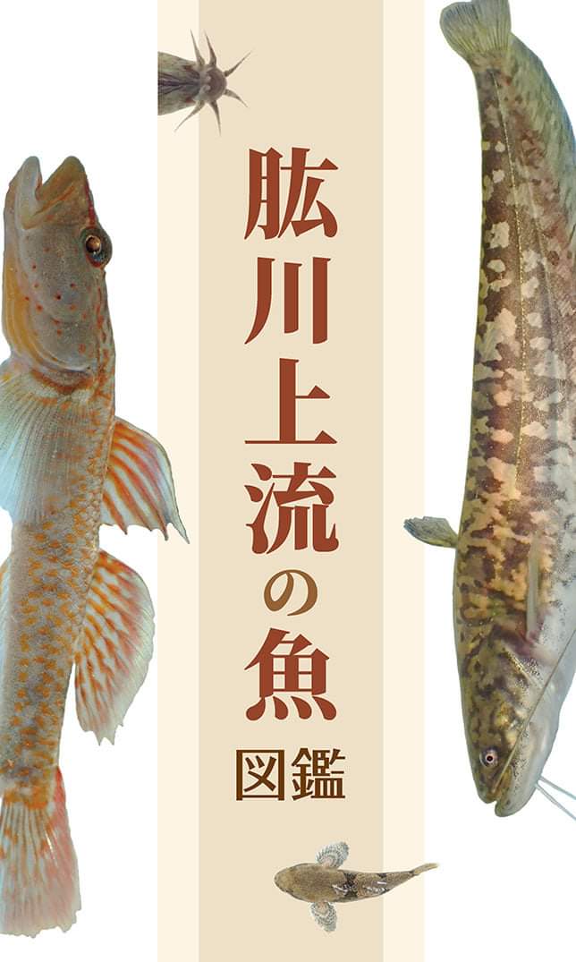 「肱川上流の魚図鑑」特定非営利法人 かわうそ復活プロジェクト 発行